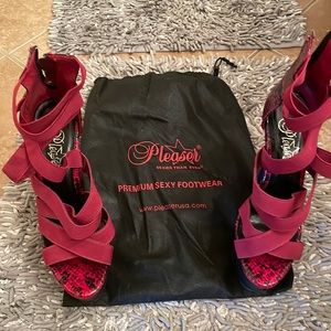Pleasers, 6inch, platform heels